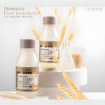 Productos Cuidado y belleza DistriSAE-14