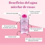 DESMAQUILLANTE USHAS