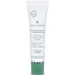 CORRECTOR FACIAL ANA MARIA IMPERFECCIONES X 15G