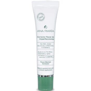 CORRECTOR FACIAL ANA MARIA IMPERFECCIONES X 15G