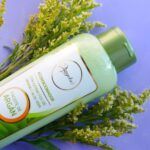 ANYELUZ ACONDIC. CON GINSENG/ALOE VERA/ARGAN X500ML