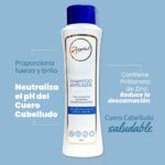 ANYELUZ SHAMPOO ANTICASPA X 400ML