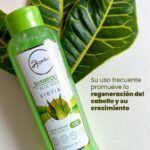 ANYELUZ SHAMPOO CON ALOE VERA X500ML