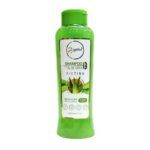 ANYELUZ SHAMPOO CON ALOE VERA X500ML