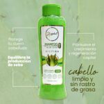 ANYELUZ SHAMPOO CON ALOE VERA X500ML