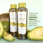 ANYELUZ SHAMPOO CON AGUACATE OMEGA X500ML