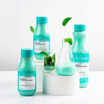 MENTA HAIR SHAMPOO PURIFICANTE MENTA GINKGO BILOVA
